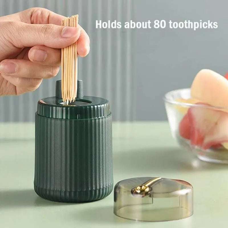 High Quality Push Up Toothpick Holder