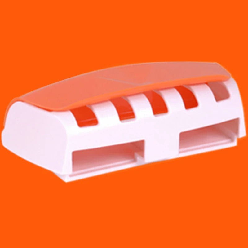 Toothbrush and paste holder