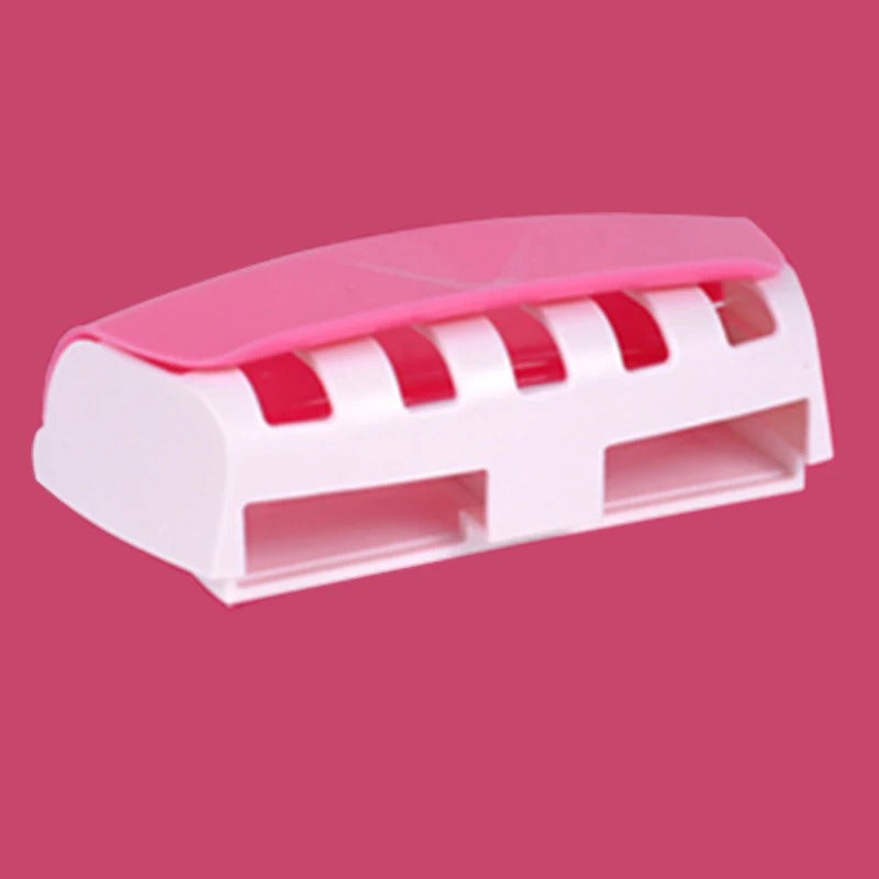 Toothbrush and paste holder