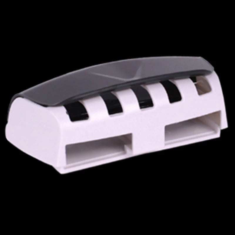 Toothbrush and paste holder